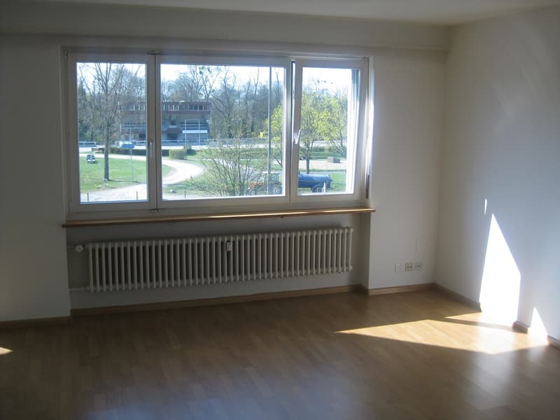 Teilrenovierte 2-Zimmerwohnung mit moderner Küche und Badezimmer (5)