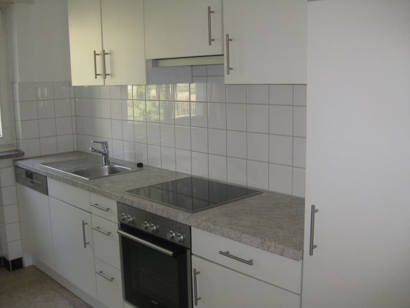 Teilrenovierte 2-Zimmerwohnung mit moderner Küche und Badezimmer (2)