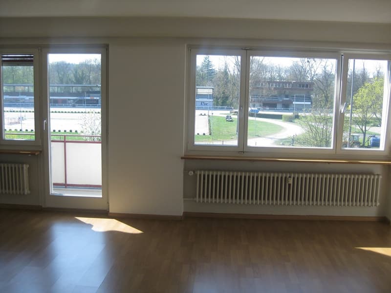 Teilrenovierte 2-Zimmerwohnung mit moderner Küche und Badezimmer (4)
