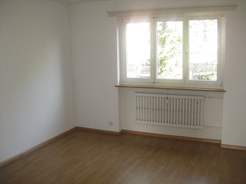 Teilrenovierte 2-Zimmerwohnung mit moderner Küche und Badezimmer (3)