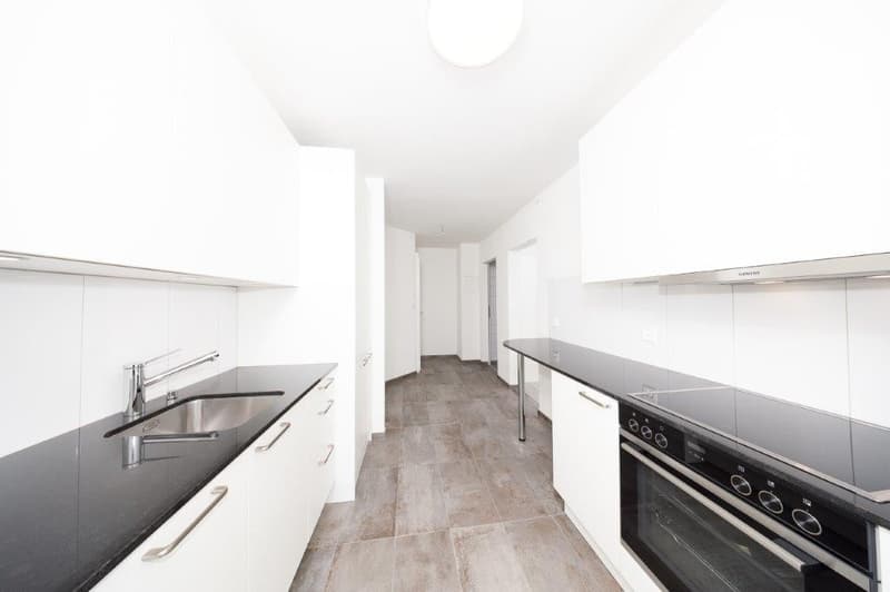 Ihr Traumzuhause wartet! Großzügiger Neubau-Komplex zur Erstvermietung (2)