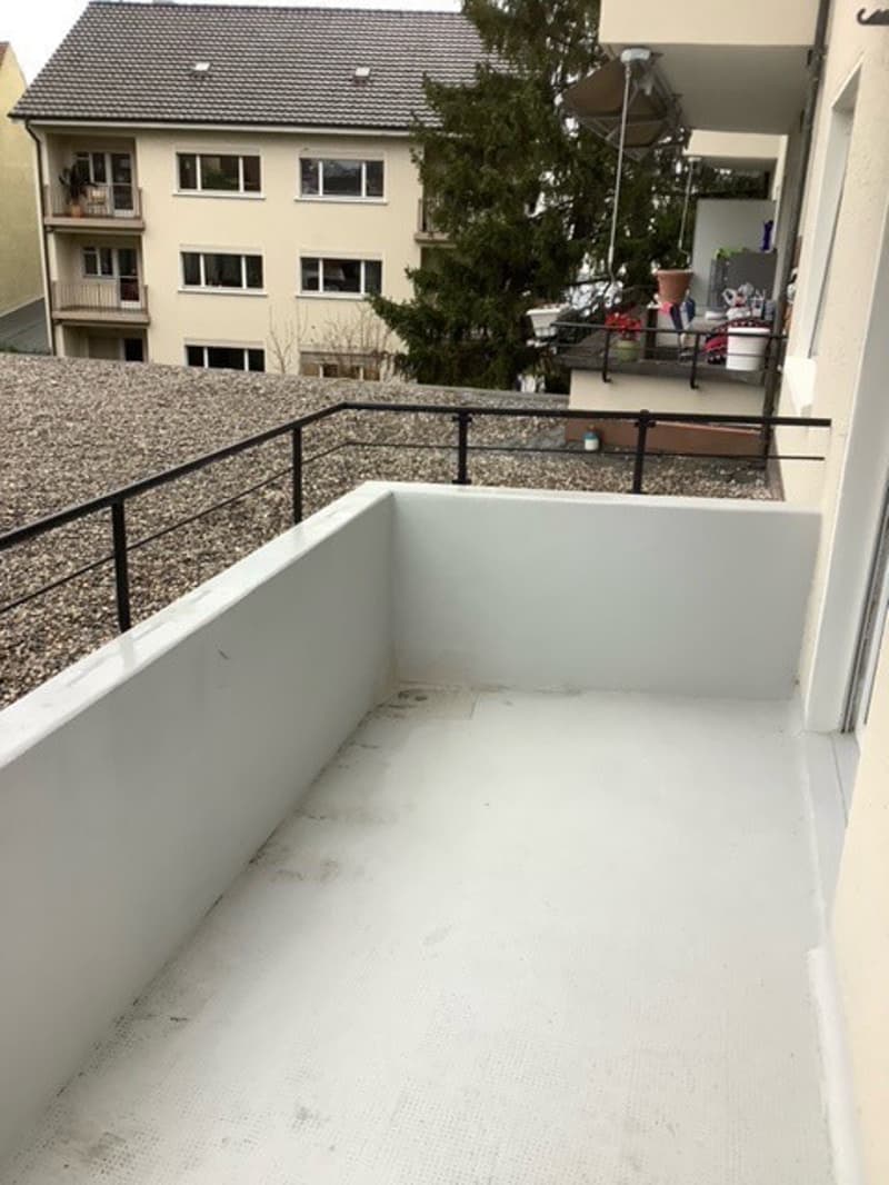 Tolle, sanierte  3-Zimmerwohnung in Münchenstein! (4)