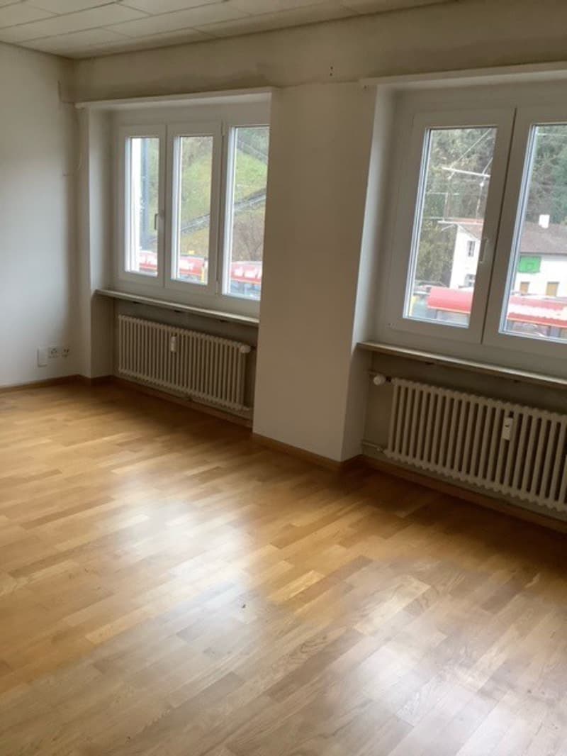 Tolle, sanierte  3-Zimmerwohnung in Münchenstein! (3)