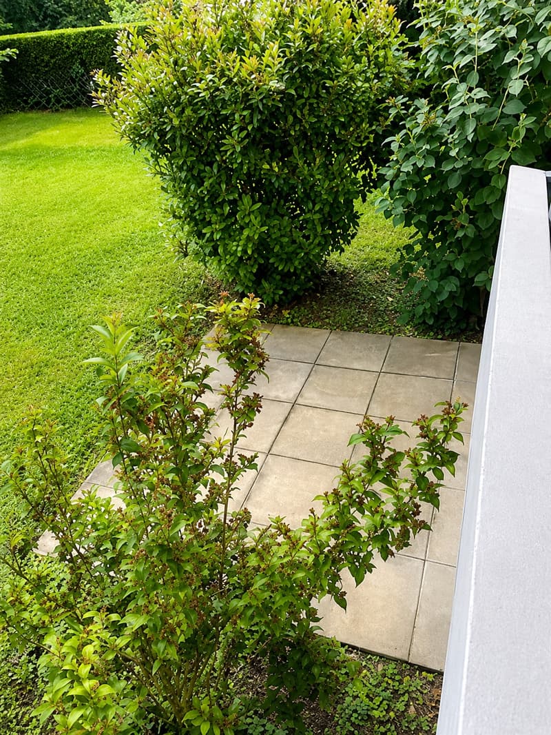 Prachtvolle 3-Zimmer-Gartenwohnung im Herzen von Reinach BL (7)