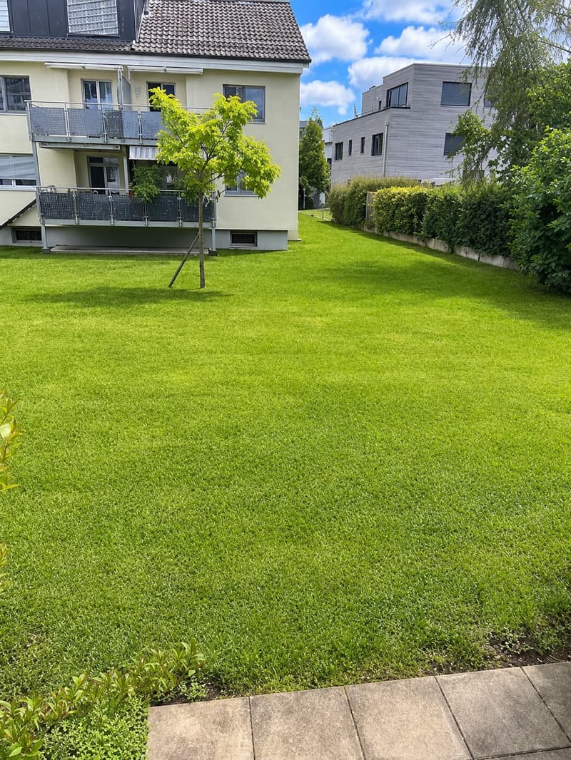 Prachtvolle 3-Zimmer-Gartenwohnung im Herzen von Reinach BL (10)