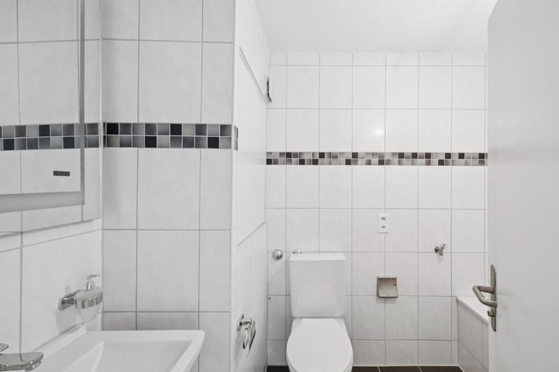 Traumhafte renovierte Wohnung (3)