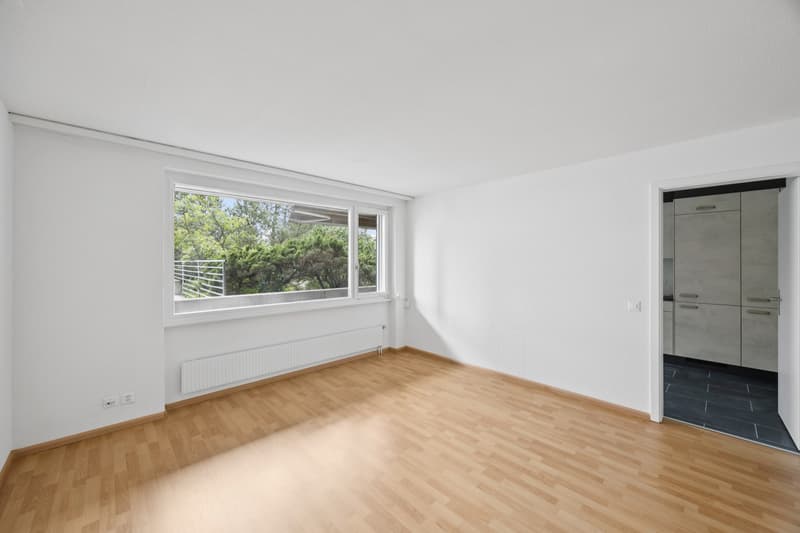 Traumhafte renovierte Wohnung (6)