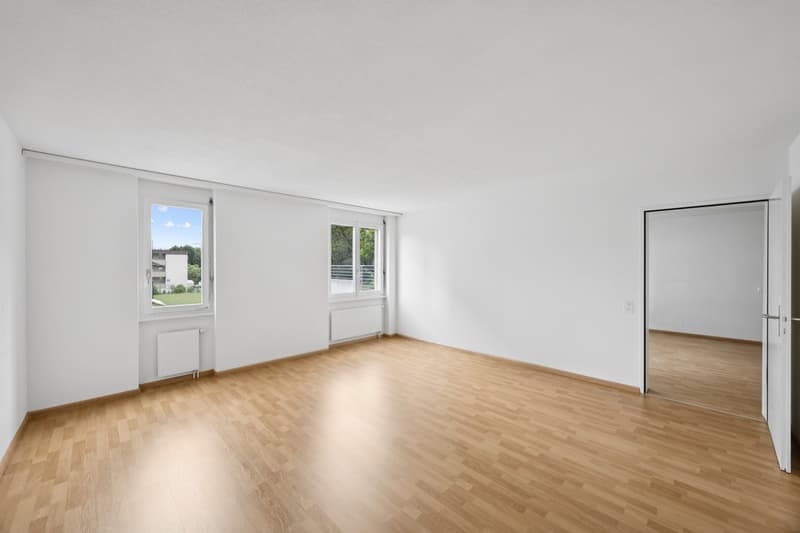 Traumhafte renovierte Wohnung (9)