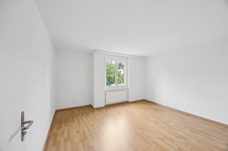 Traumhafte renovierte Wohnung (4)