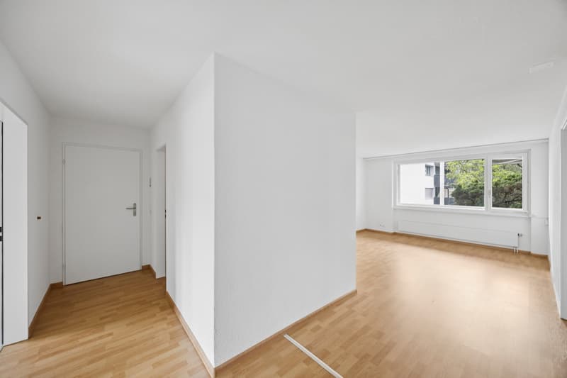 Traumhafte renovierte Wohnung (5)