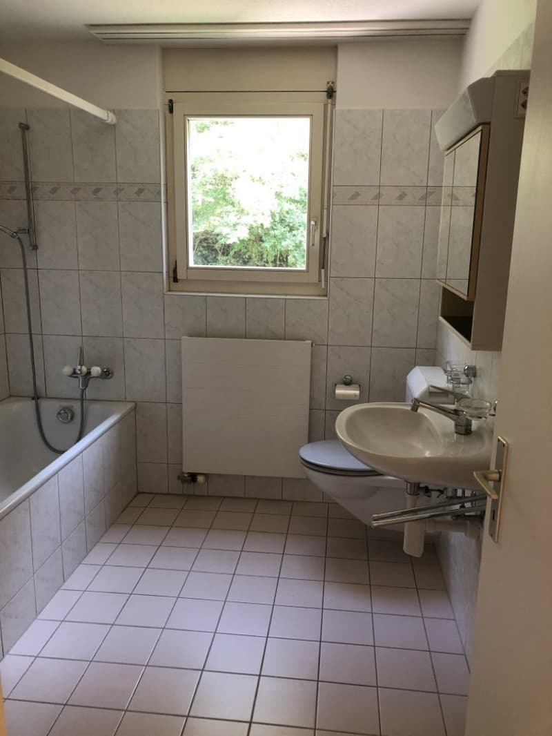 Grosszügige helle Wohnung mit Balkon - zentral & im Grünen gelegen (8)