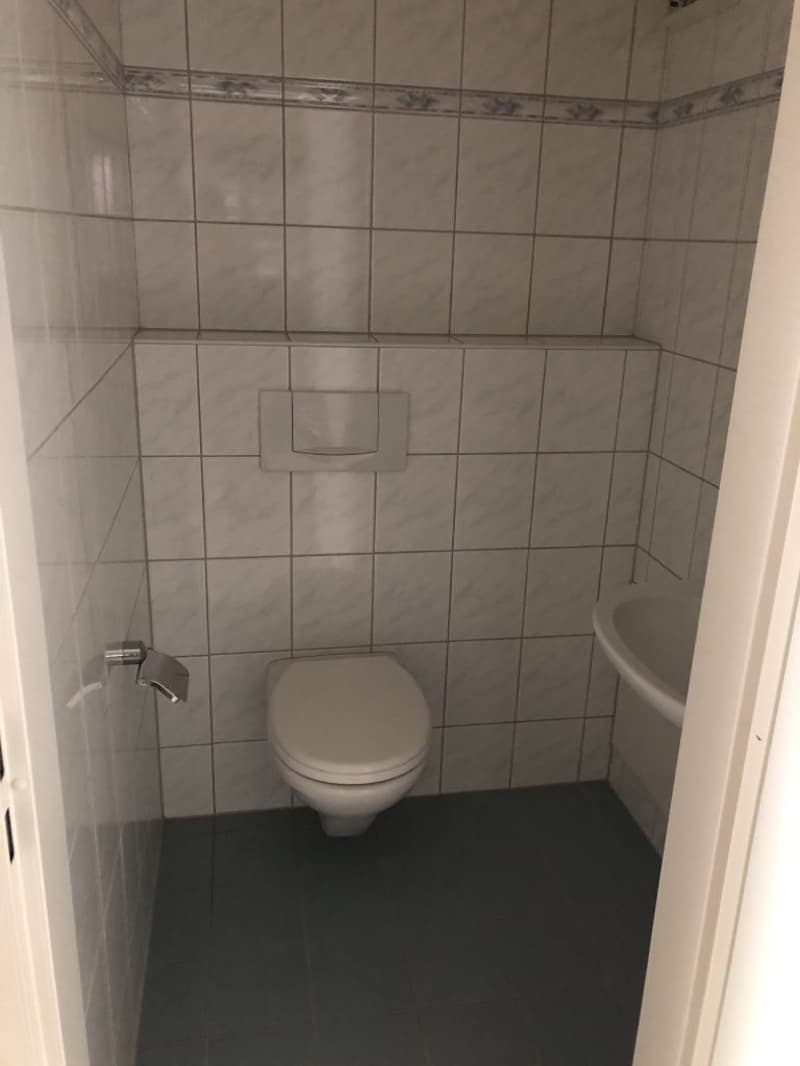 Grosszügige helle Wohnung mit Balkon - zentral & im Grünen gelegen (9)