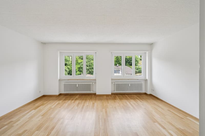 Tolle, sanierte  3-Zimmerwohnung in Münchenstein! (3)