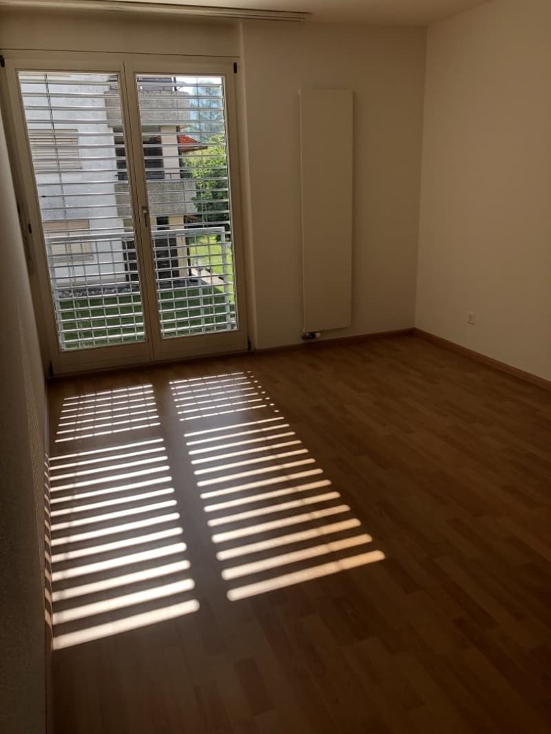 Grosszügige helle Wohnung mit Balkon - zentral & im Grünen gelegen (7)