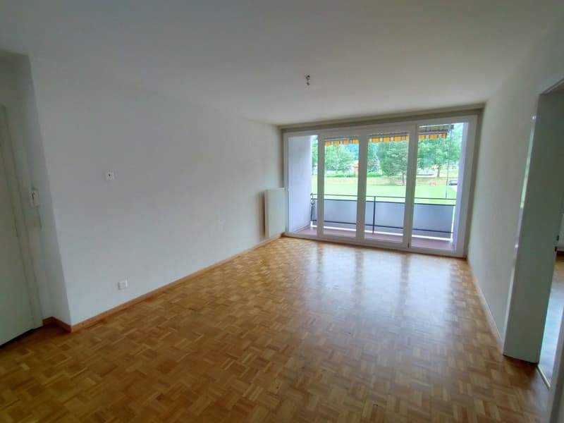 Appartement fraîchement peint - spacieux et lumineux (2)