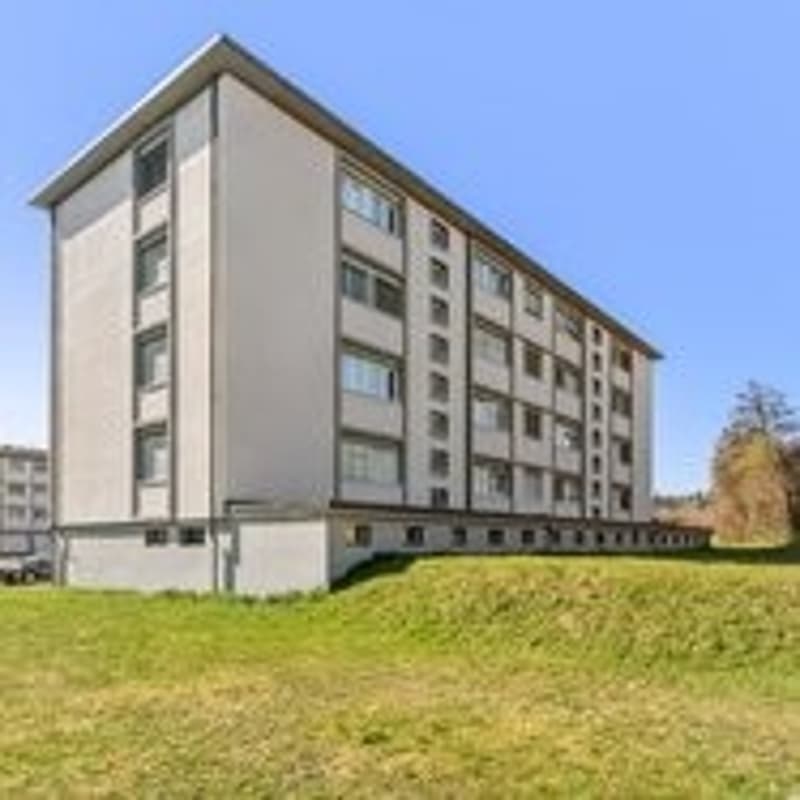 Appartement fraîchement peint - spacieux et lumineux (1)
