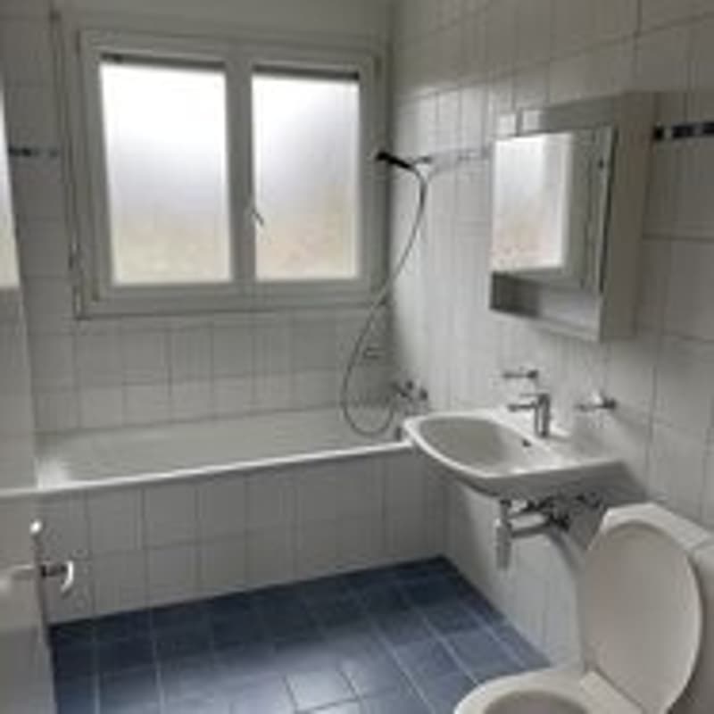 Appartement fraîchement peint - spacieux et lumineux (5)