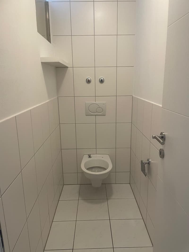Helle und frisch renovierte 4-Zimmer-Wohnung mit Balkon und viel Platz (9)
