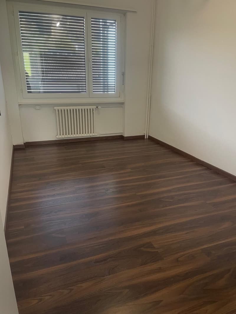 Helle und frisch renovierte 4-Zimmer-Wohnung mit Balkon und viel Platz (6)