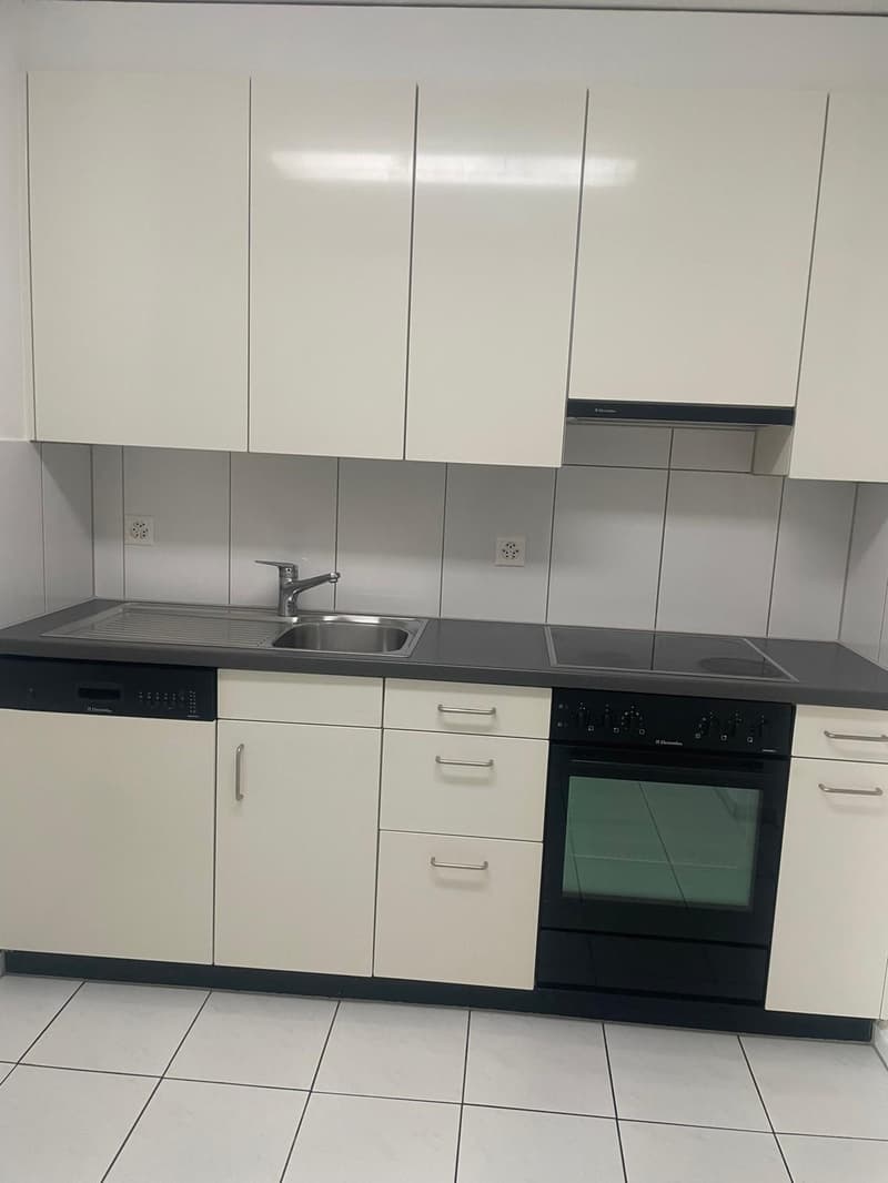 Helle und frisch renovierte 4-Zimmer-Wohnung mit Balkon und viel Platz (7)