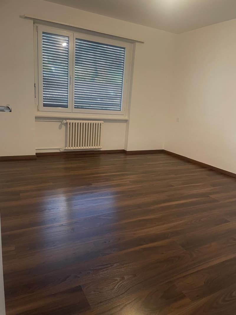 Helle und frisch renovierte 4-Zimmer-Wohnung mit Balkon und viel Platz (4)