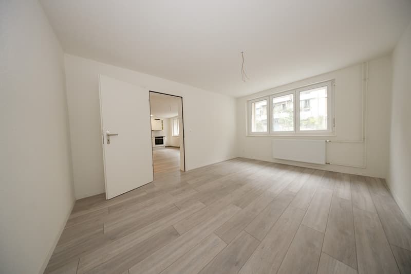 Ihr Traumzuhause wartet! Großzügiger Neubau-Komplex zur Erstvermietung (3)