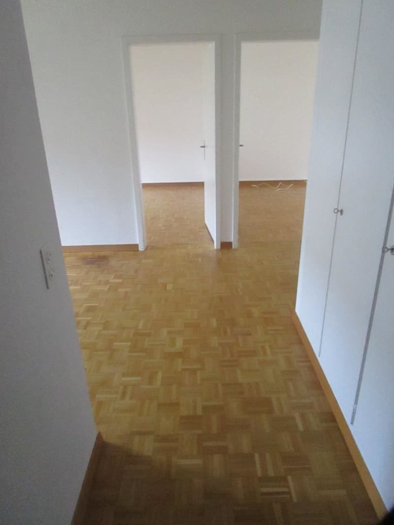 Wohnung mit herrlichem grünen Umschwung ! (9)
