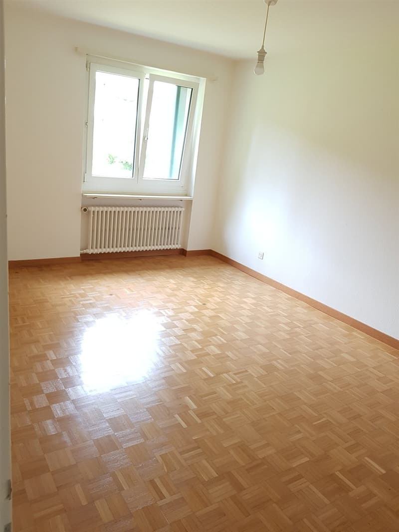 Wohnung mit herrlichem grünen Umschwung ! (8)