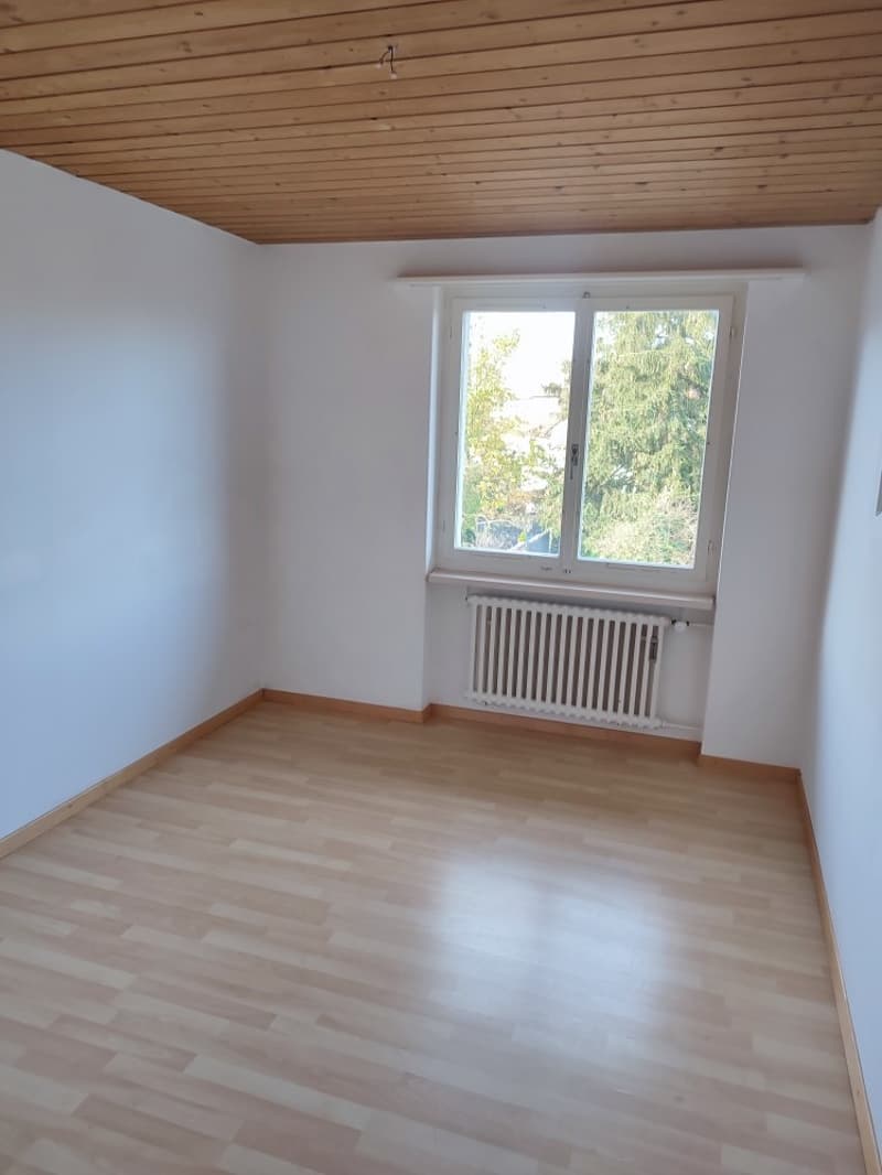 Genau was Sie suchen! (6)