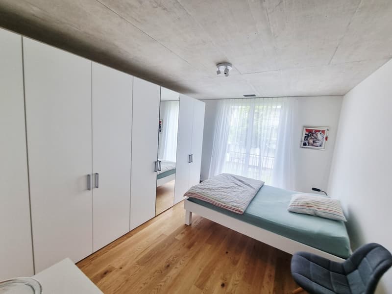 Neubau - mit grüner Umschwung (7)