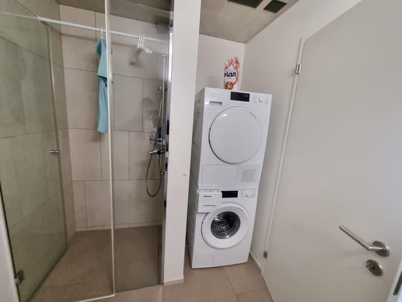 Neubau - mit grüner Umschwung (9)