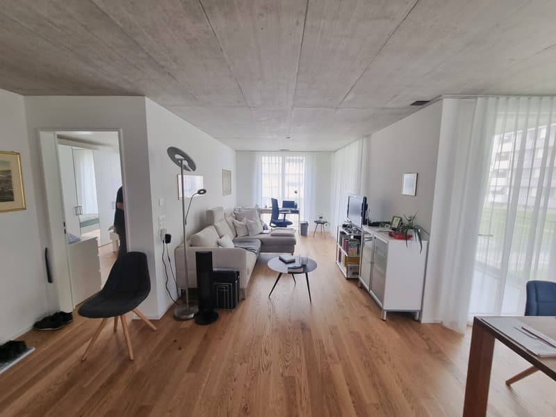 Neubau - mit grüner Umschwung (6)