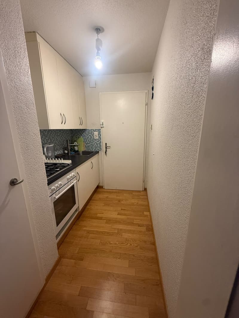 Charmante 1.5-Zimmer Bijou-Wohnung in Dübendorf  Im Winkel 7 (4)