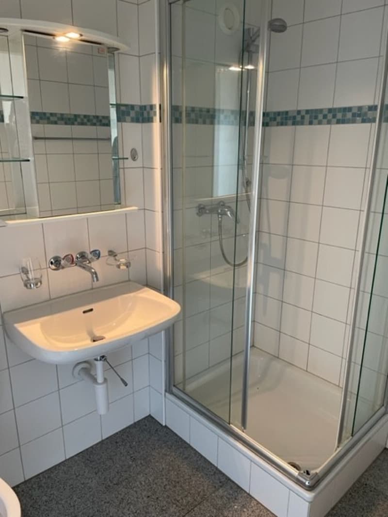 Charmante 1.5-Zimmer Bijou-Wohnung in Dübendorf  Im Winkel 7 (12)