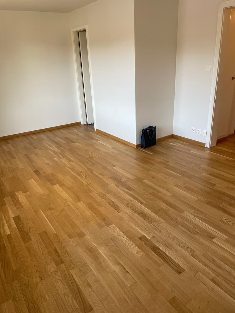 Charmante 1.5-Zimmer Bijou-Wohnung in Dübendorf  Im Winkel 7 (5)