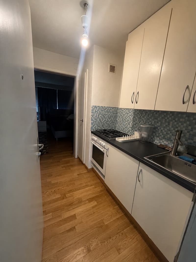 Charmante 1.5-Zimmer Bijou-Wohnung in Dübendorf  Im Winkel 7 (3)