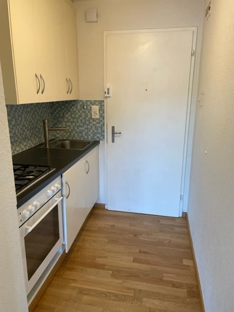 Charmante 1.5-Zimmer Bijou-Wohnung in Dübendorf  Im Winkel 7 (2)