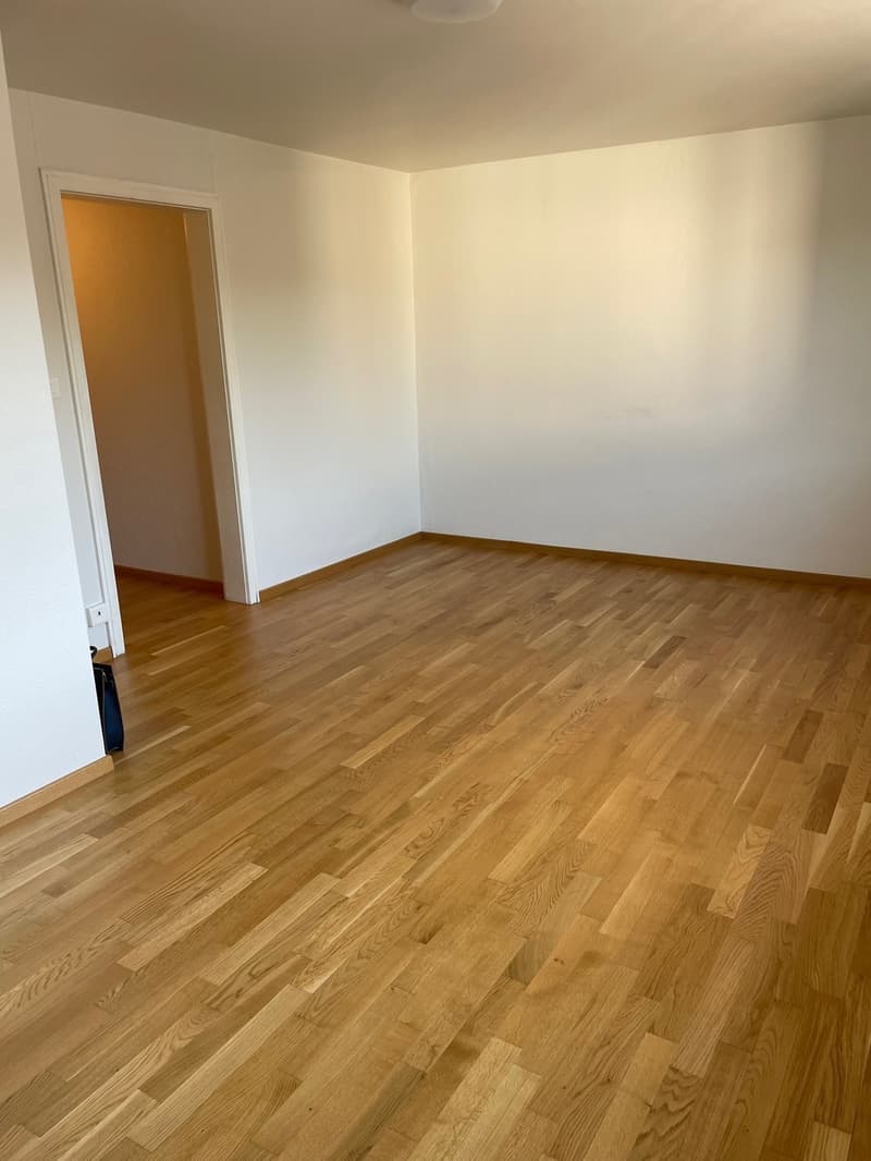 Charmante 1.5-Zimmer Bijou-Wohnung in Dübendorf  Im Winkel 7 (8)