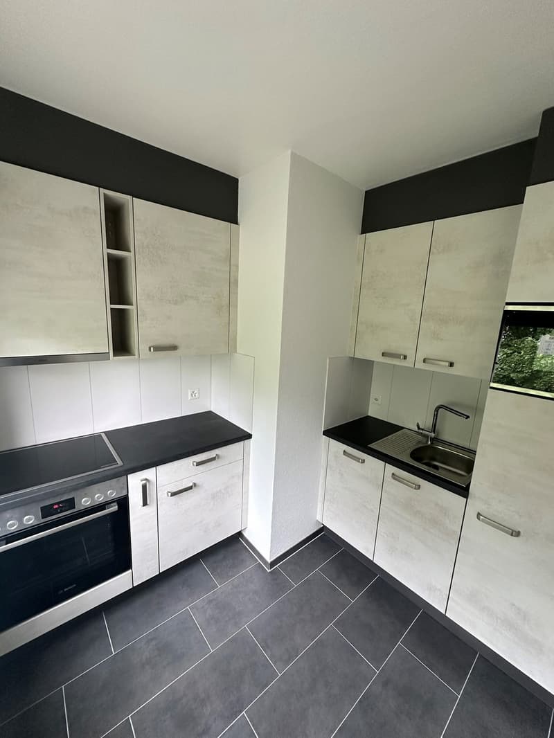 Studio renové près du Chuv et métro! Endroit calme et vert! (1)