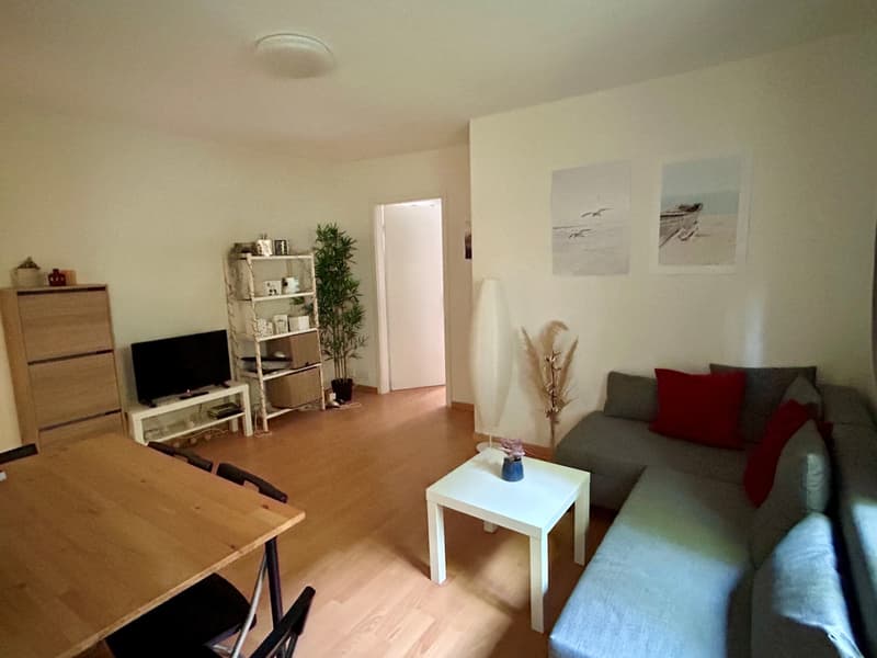 Gemütliches Zuhause an ruhiger Lage im Kreis 3 (1)