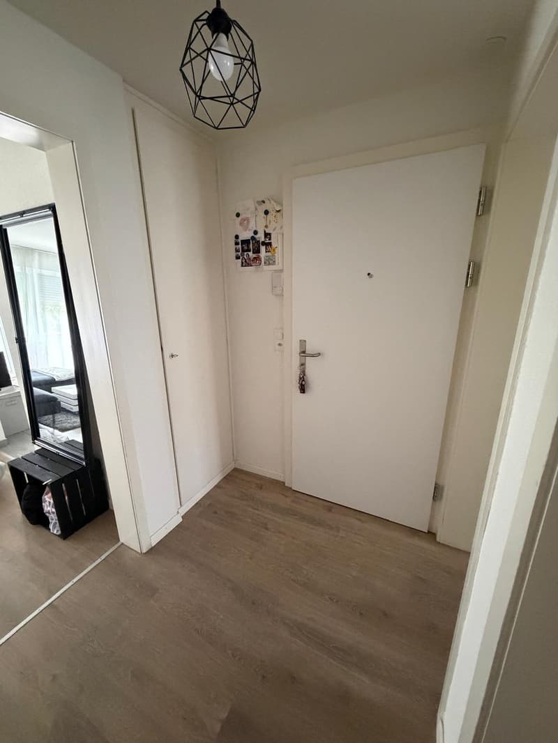 Charmante 3-Zimmer-Wohnung mit Balkon & Gartenmitbenutzung Reinach BL (6)