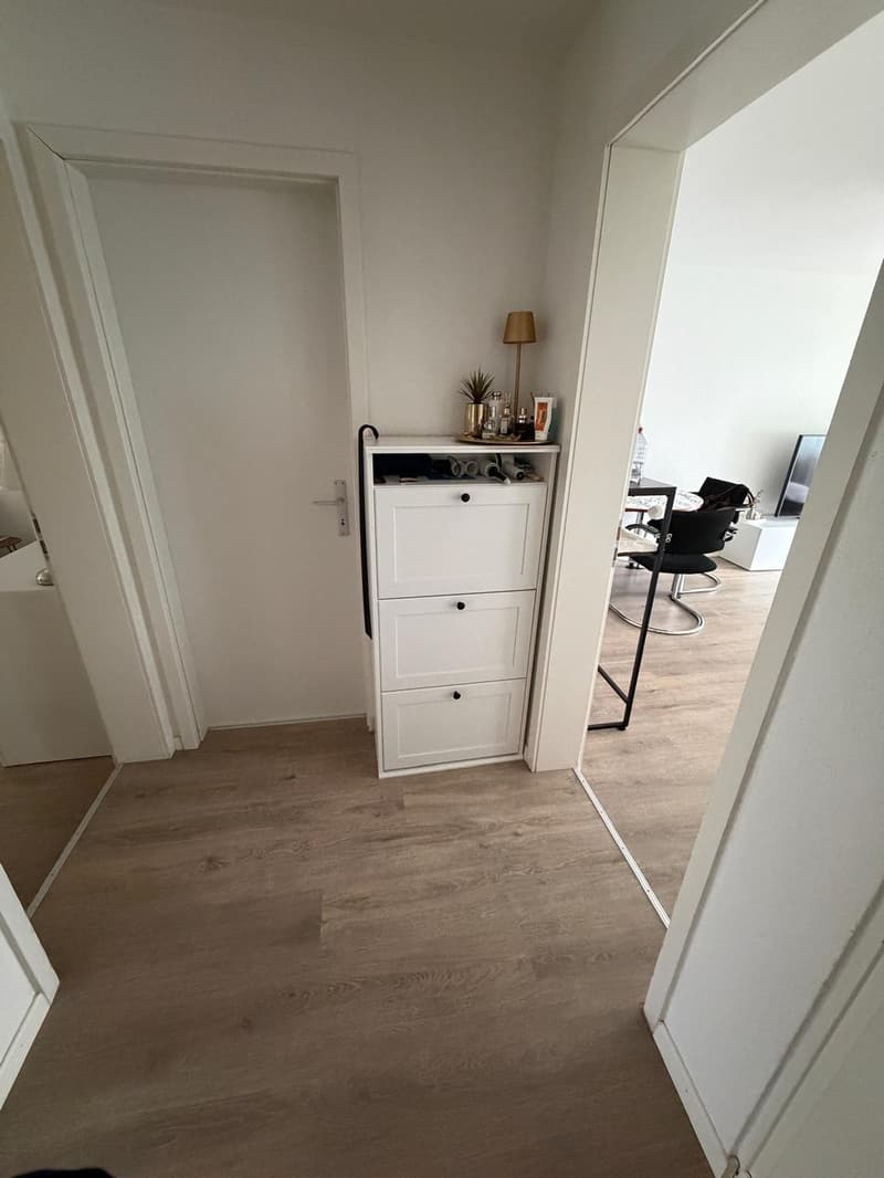 Charmante 3-Zimmer-Wohnung mit Balkon & Gartenmitbenutzung Reinach BL (11)