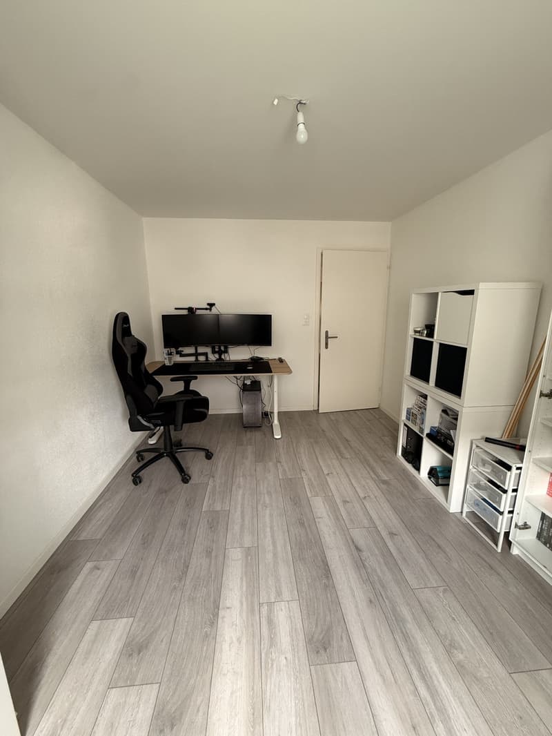 Charmante 3,5 Zimmerwohnung -Erlenstrasse 10, 4410-Liestal, Baselland (10)