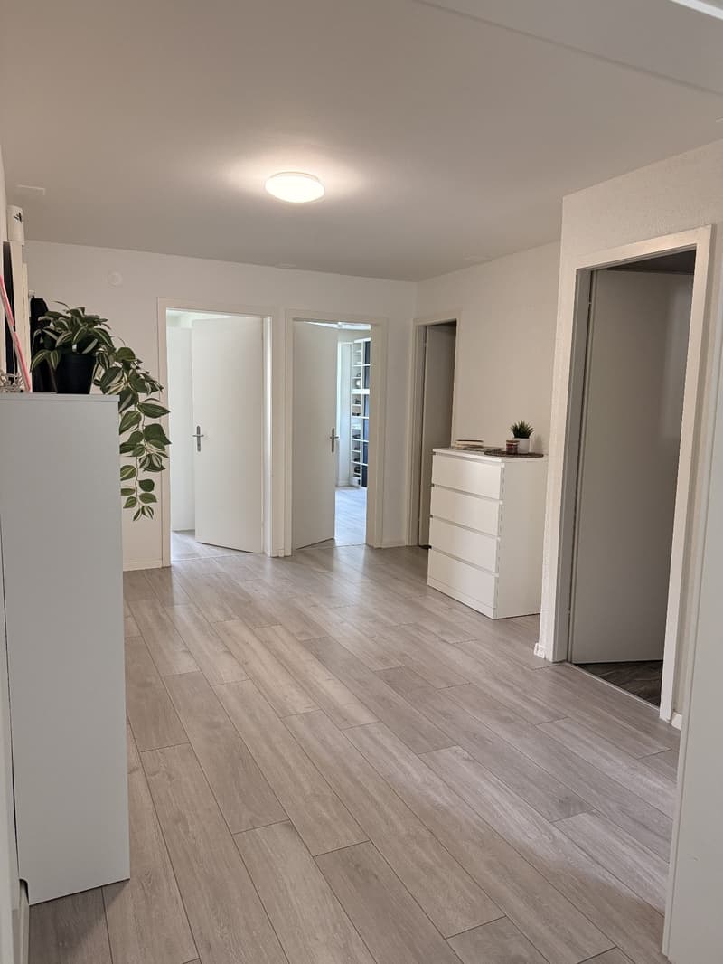 Charmante 3,5 Zimmerwohnung -Erlenstrasse 10, 4410-Liestal, Baselland (3)