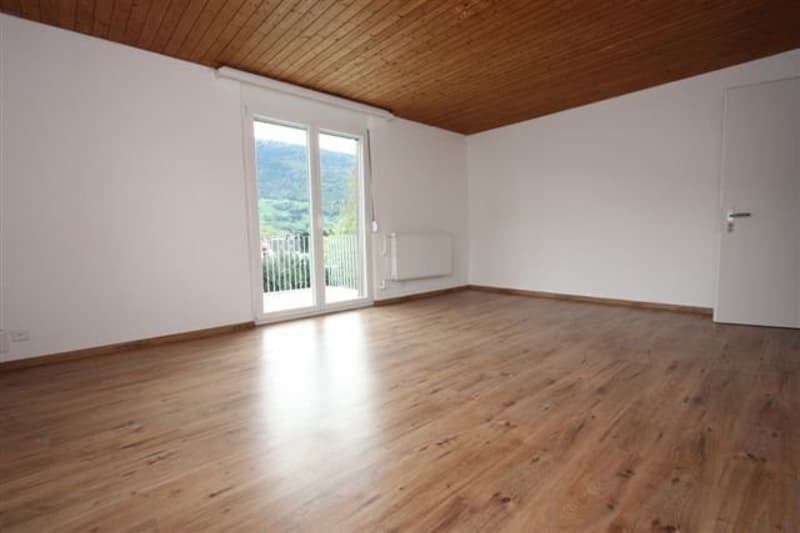 Traumhafte Wohnung mit toller Terrasse und Aussicht!! (5)