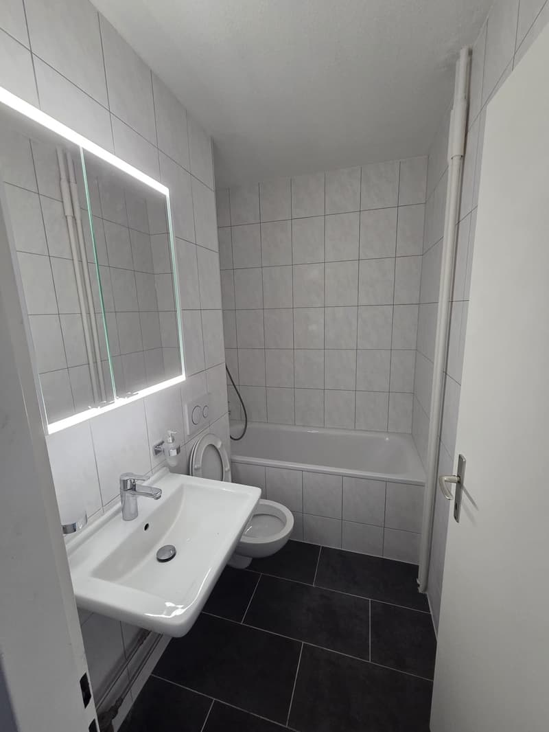 Au centre de Malley splendide appartement renové avec balcon et vue (5)