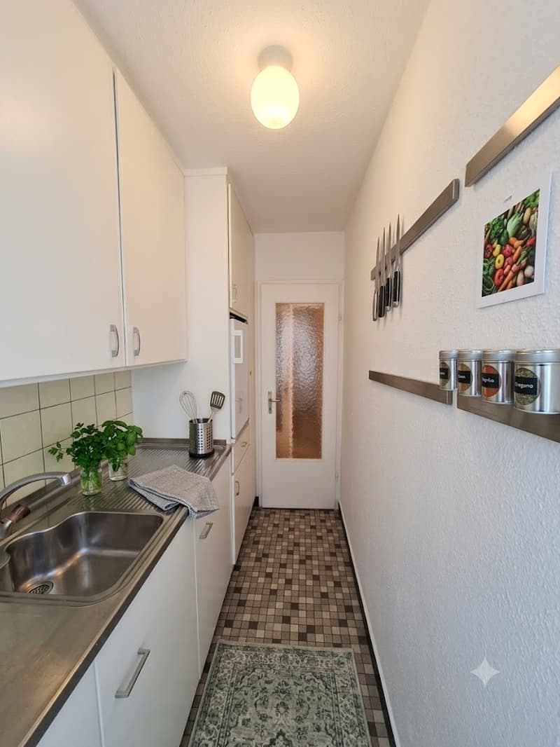 Stilvolles 1-Zimmer-Juwel im Herzen von Wiedikon (3)