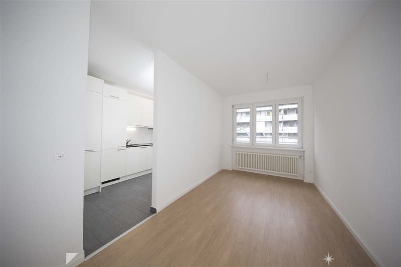 Frische,Topmoderne Wohnung mit Balkon an zentraler Lage (4)