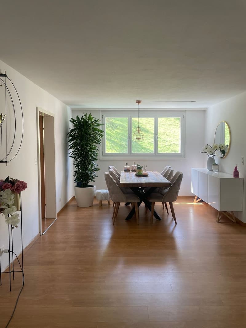 grosse 4 1/2 Zimmer-Wohnung mit sonnigem Balkon (2)