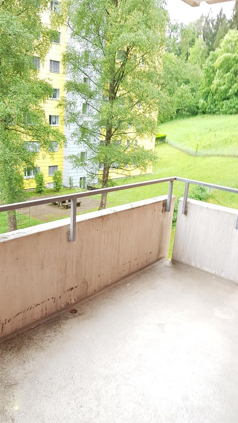 grosse 4 1/2 Zimmer-Wohnung mit sonnigem Balkon (1)